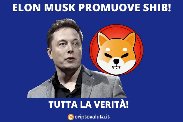 Elon Musk e Shiba Token - l'analisi di Criptovaluta.it