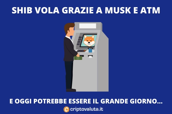 SHIB con Musk e ATM - il volo sul mercato 