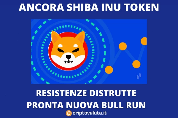 Shiba Inu vola sui mercati - ecco perchè - di Criptovaluta.it