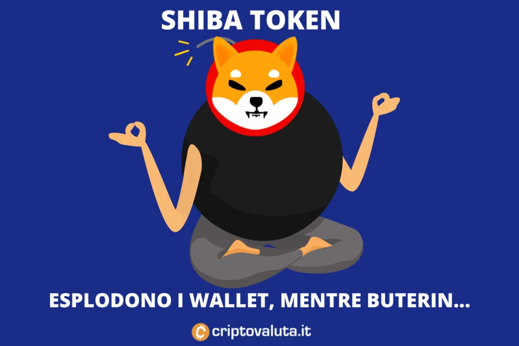 Shiba Token - wallet attivi - inchiesta di Criptovaluta.it