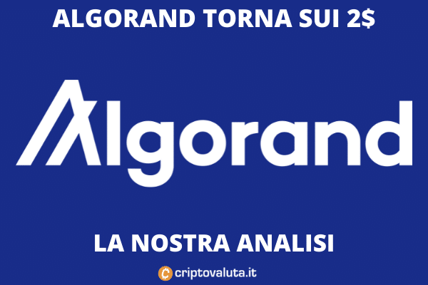 Algorand - cosa c'è da sapere. L'analisi di Criptovaluta.it