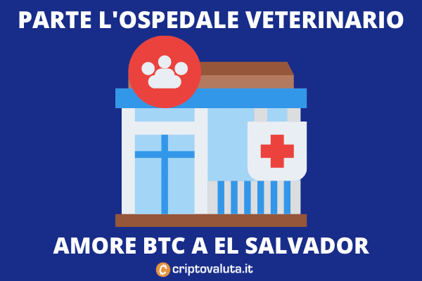El Salvador ospedale per animali pagato con BTC