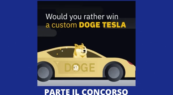 Binance e Tesla - Concorso