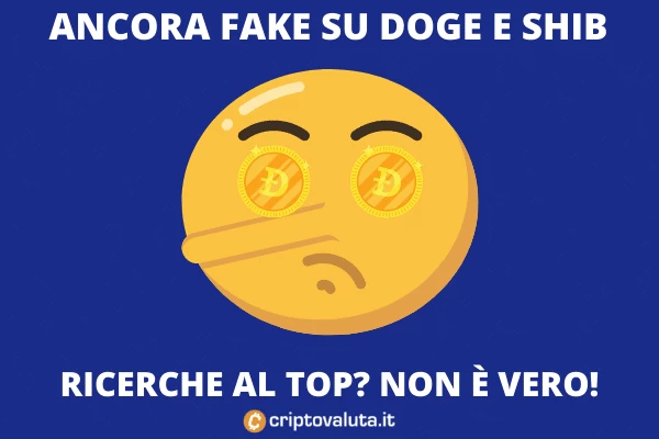 Fake News Shib e Doge - ecco perché