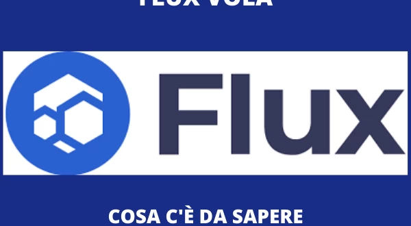 FLUX ANALISI