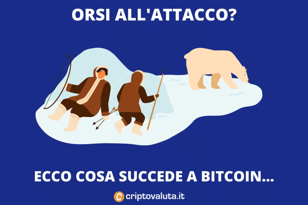 Orsi Bitcoin - cosa sucecde sul mercaot? Analisi di Criptovaluta.it