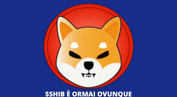 Nuovo listing Shiba