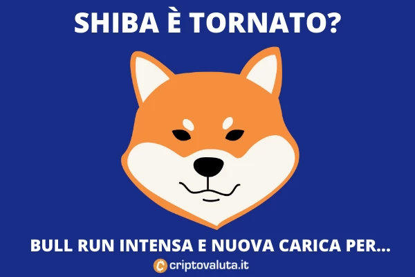 Shiba Token torna a crescere - analisi