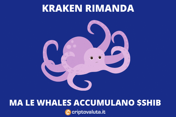 kraken rimanda $SHIB - ecco cosa sta succedendo