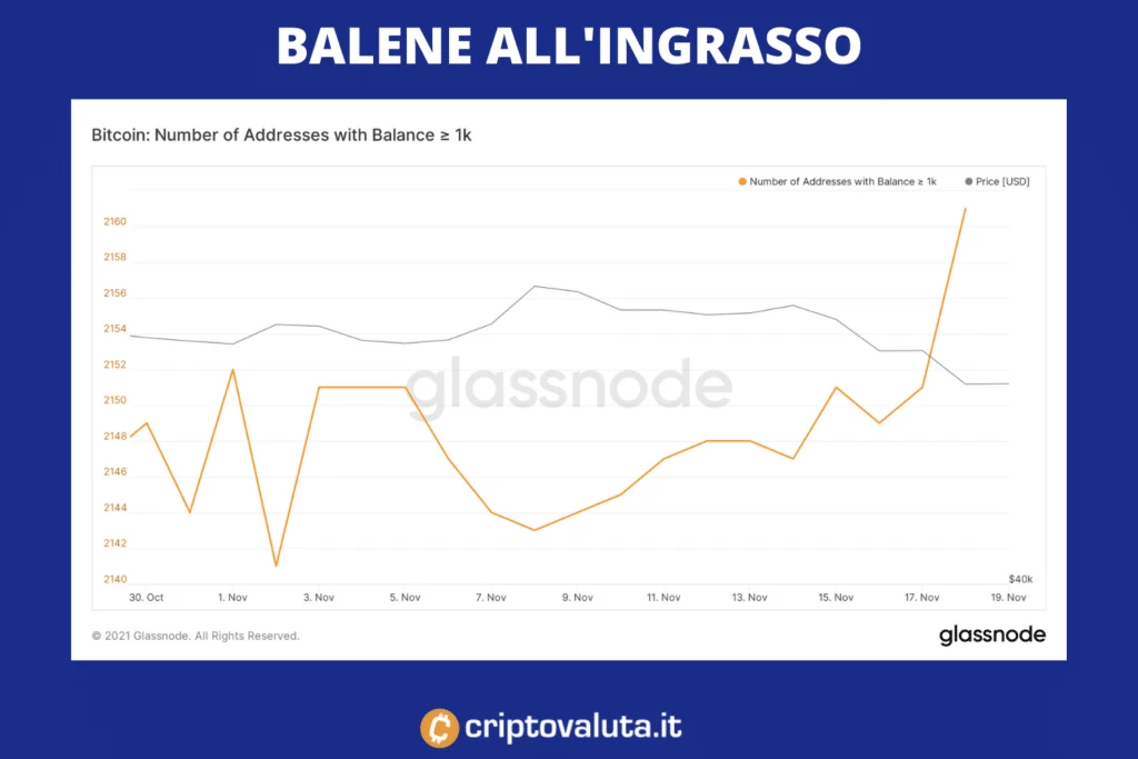 Balene con +1.000 BTC - analisi