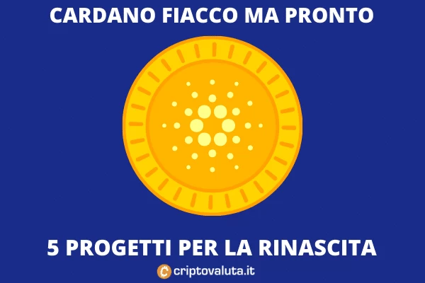 Cardano - progetti per la rinascita