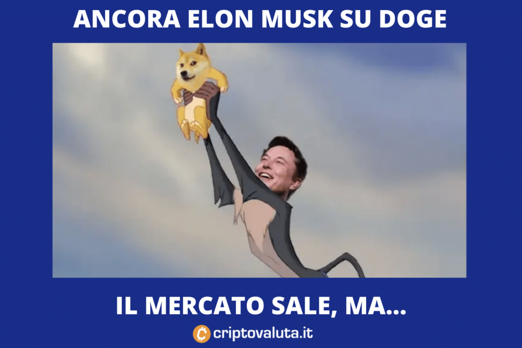 Elon Musk - Dogecoin contro Ethereum - quanto c'è di serio