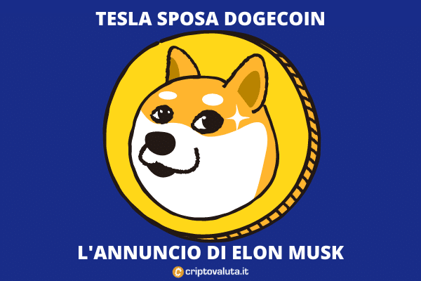 Tesla Merchandising - ecco cosa ha annunciato Elon Musk