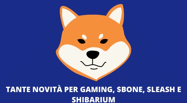 SHIB AMA