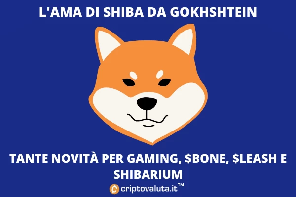 $SHIB - AMA nella notte - analisi di Criptovaluta.it