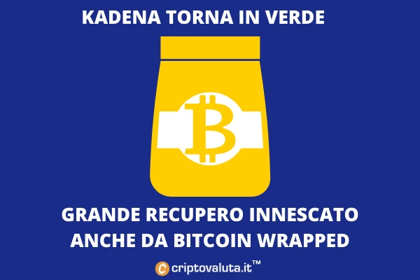 Novità Kadena - analisi crescita di Criptovaluta.it