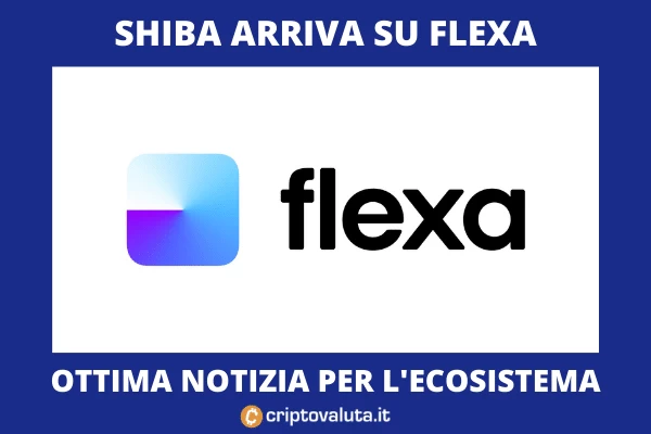 FLEXA SHIB - ecco cosa significa - analisi di Criptovaluta.it
