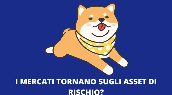 Shiba Inu Coin Rischio