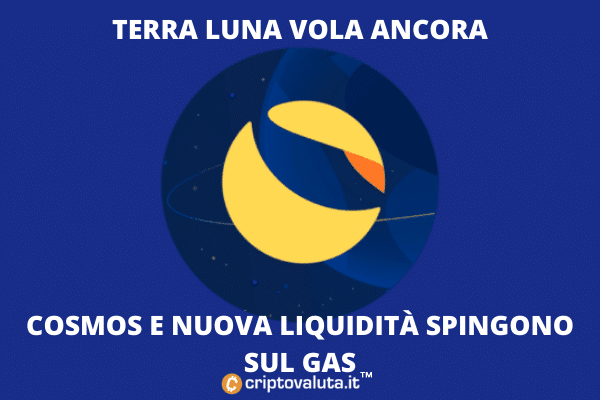 Terra Luna sigue creciendo: así es como y por qué