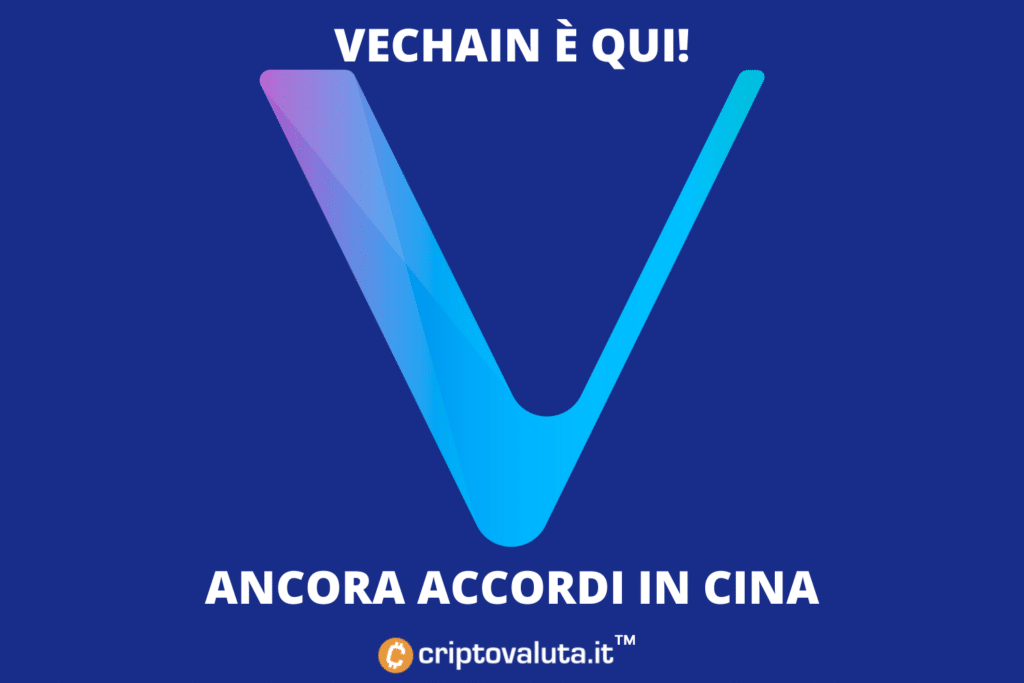 $ VET - 2022 - aquí está el resumen