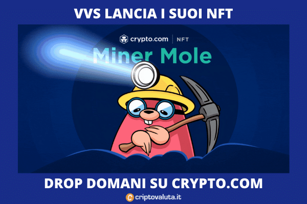 Drop NFT Mole por VVS - por Criptovaluta.it