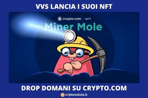 Drop NFT Mole di VVS - di Criptovaluta.it