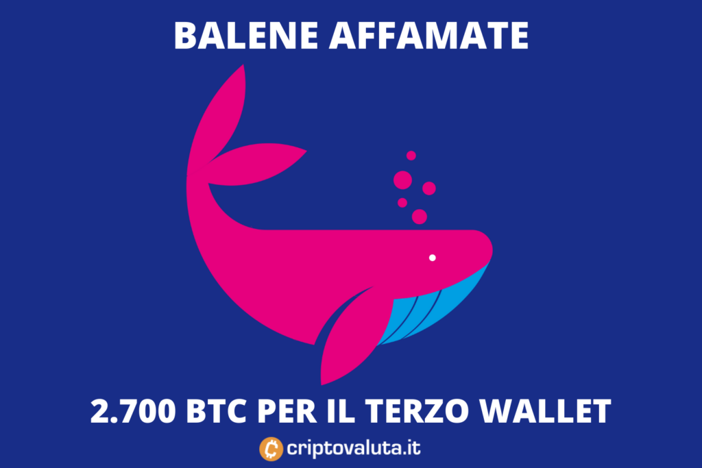 Bitcoin - balene continuano a comprare