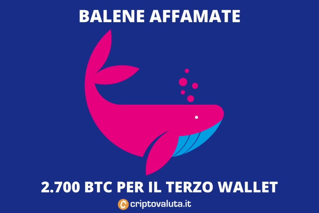 Bitcoin - balene continuano a comprare