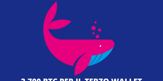 BTC WHALES - ancora acquisti