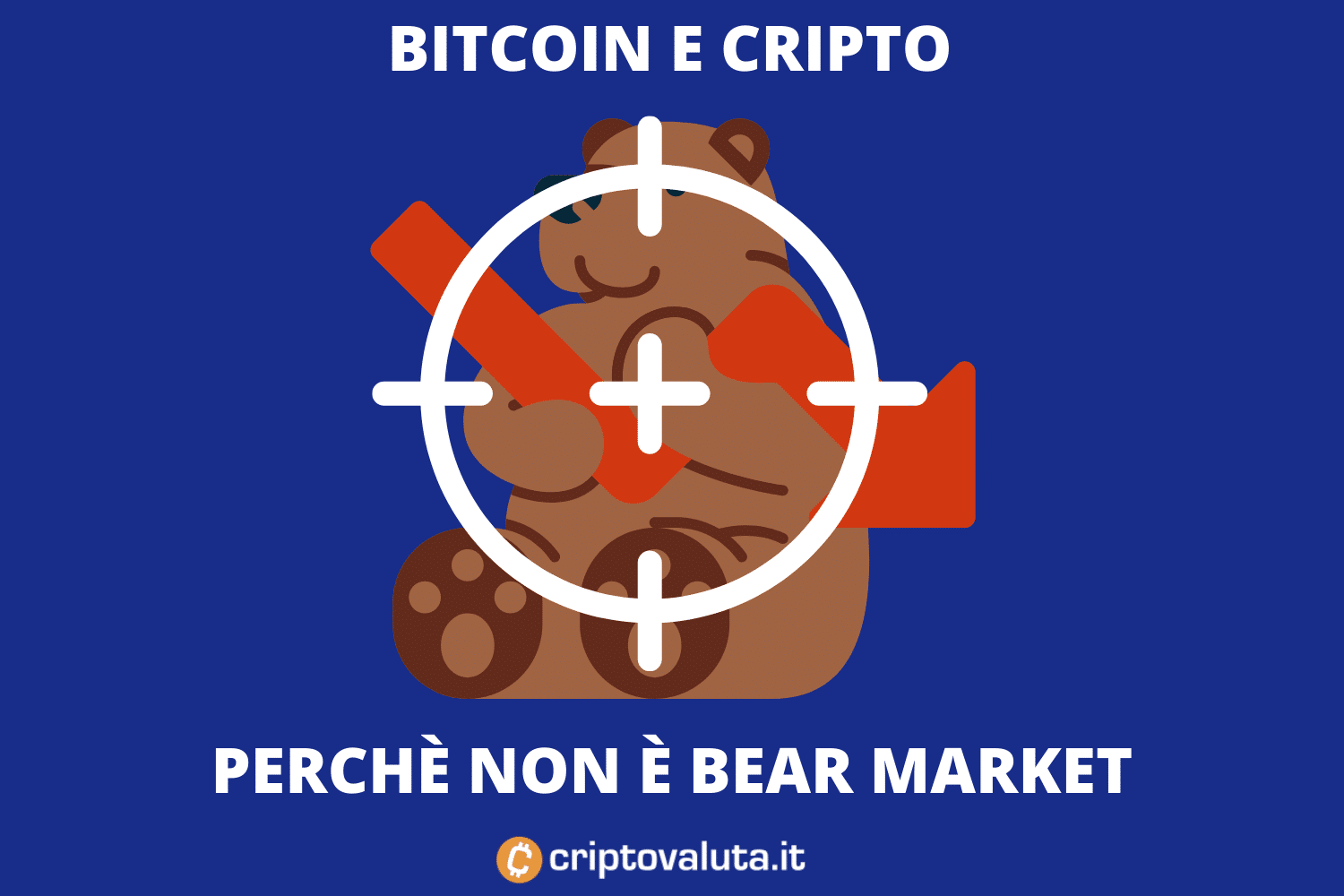 Crollo criptovalute: che succede a Bitcoin? | Bear Market? NO! Analisi