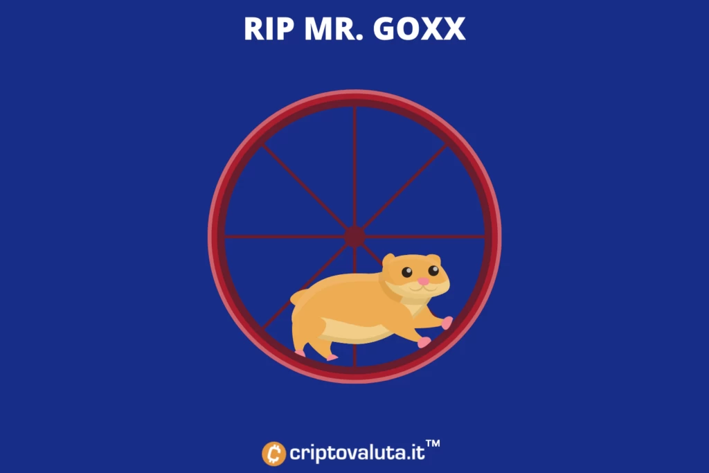 Mr. Goxx batte gli analisti bancari con le cripto