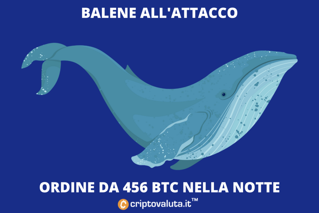 Balene su Bitcoin - acquisto da 456 BTC