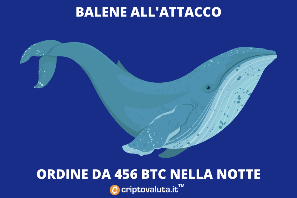 Ballenas en Bitcoin - compra de 456 BTC