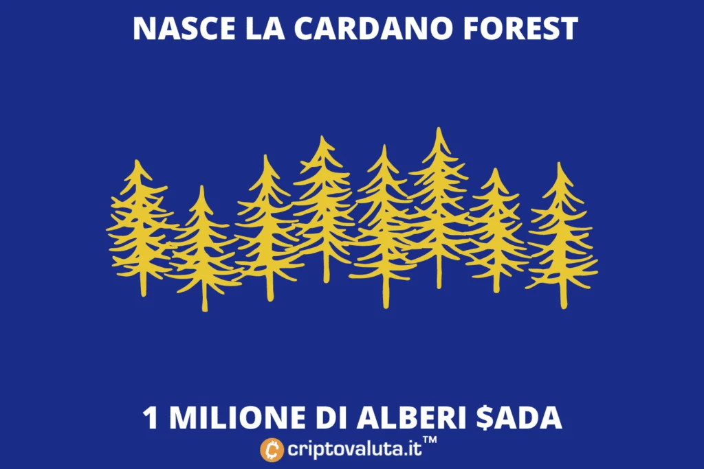 Cardano pianta 1 milione di alberi