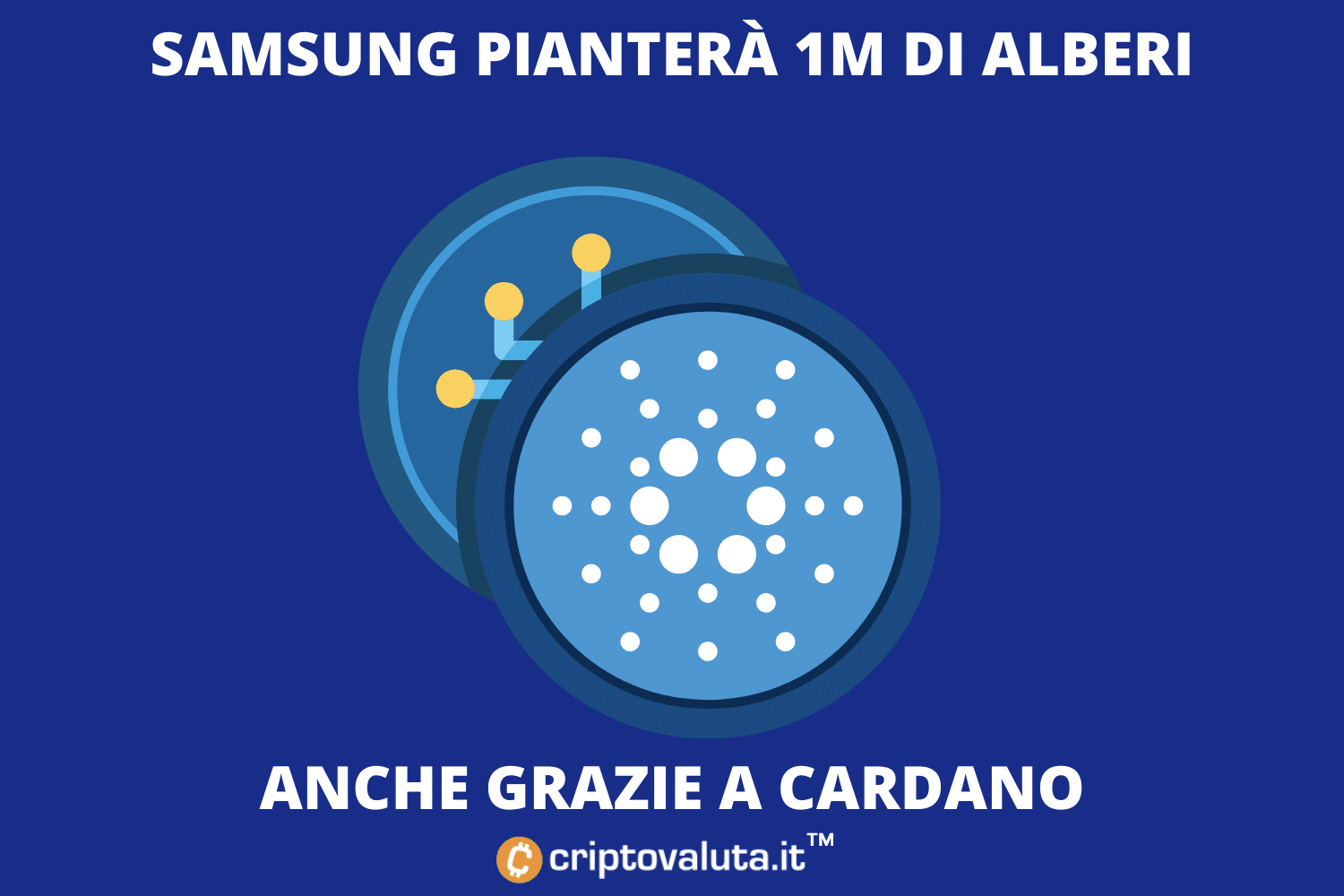 Samsung insieme a Cardano | Operazione da 2 milioni di alberi