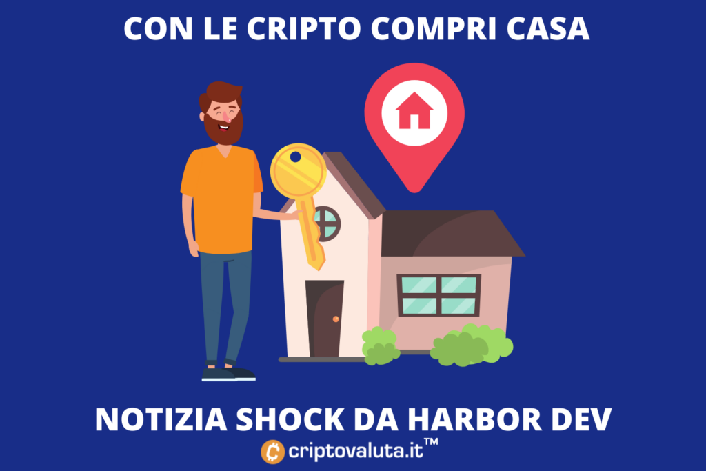 Harbor Custom Development con Shiba e Bitcoin