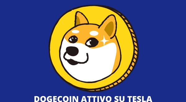 Tesla ed Elon Musk su Doge