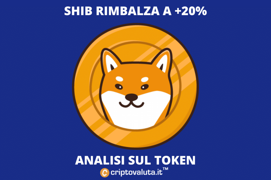 Shiba Inu coin - analysis of Criptovaluta.it