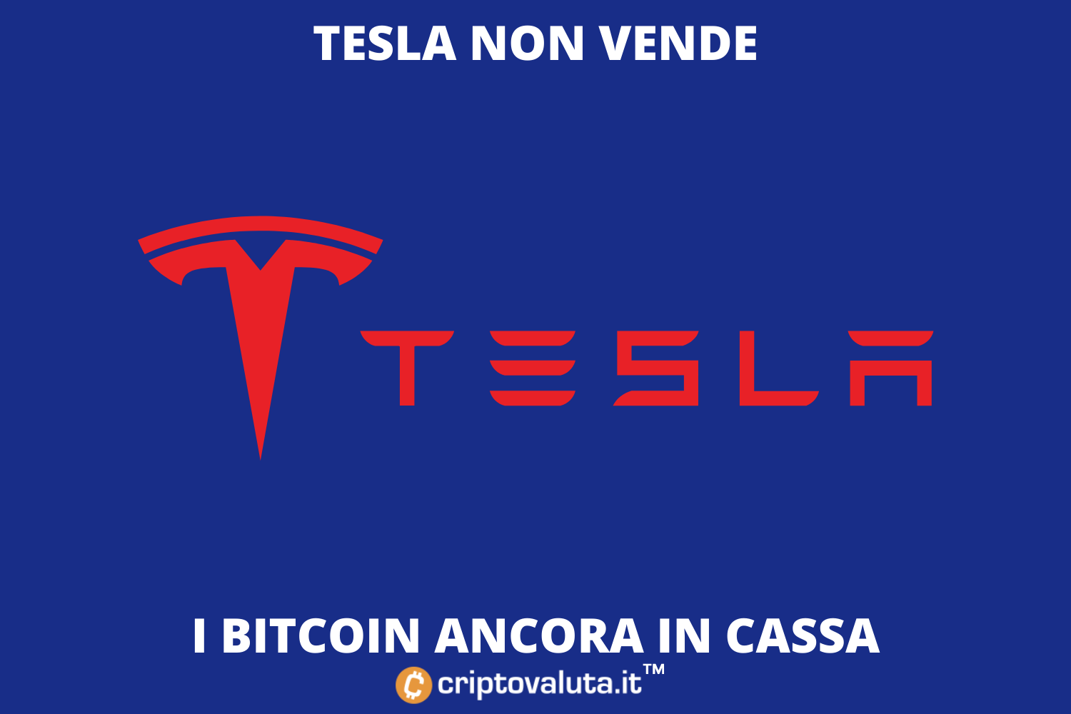 Tesla ha venduto Bitcoin? | Il crollo di BTC non spaventa Elon Musk