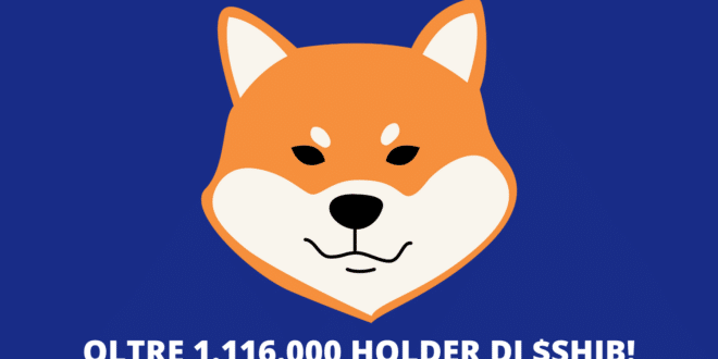 Shiba Inu Coin record