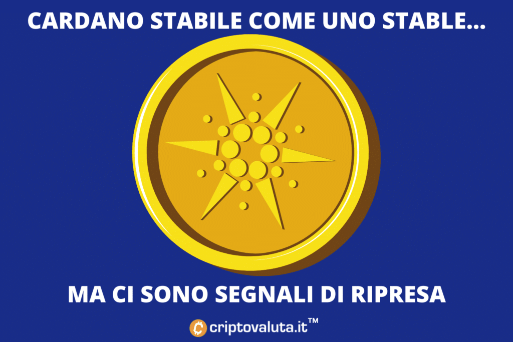 Cardano - análisis de Criptovaluta.it