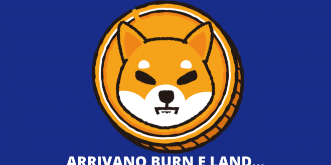 Novità shiba inu coin