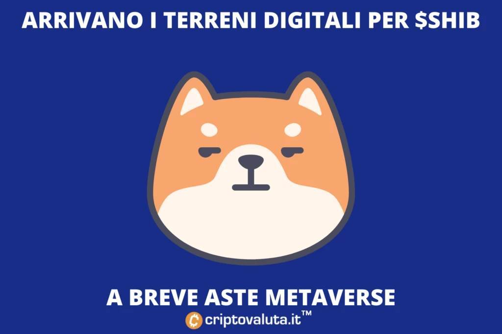 Shiba lancia il suo metaverse