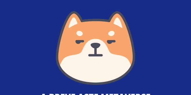 Shiba Inu Coin metaverse