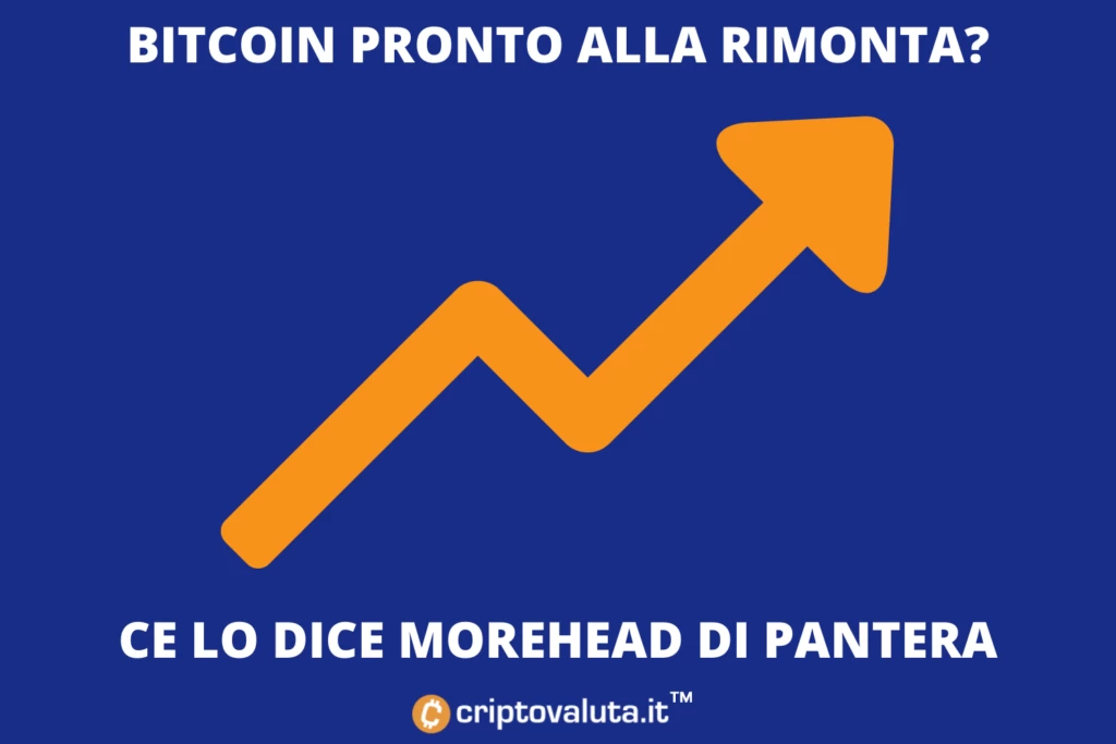 Dan Morehead di Panthera punta sulla rimonta. Ecco come potrebbe avvenire.