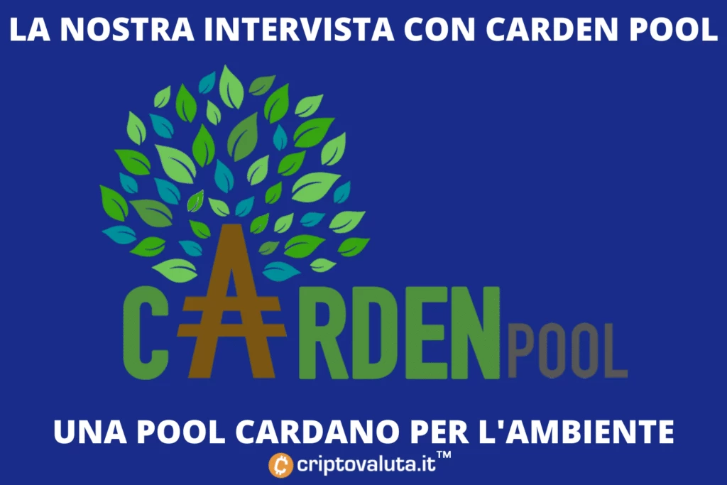 Intervista carden pool