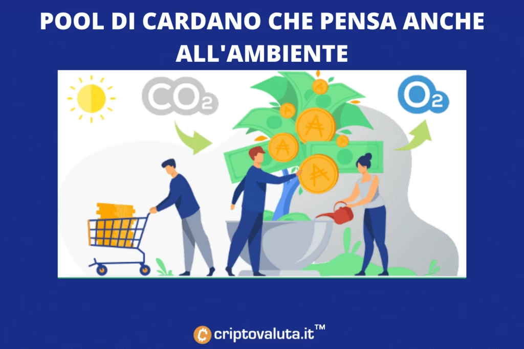 pool Cardano ambientalista