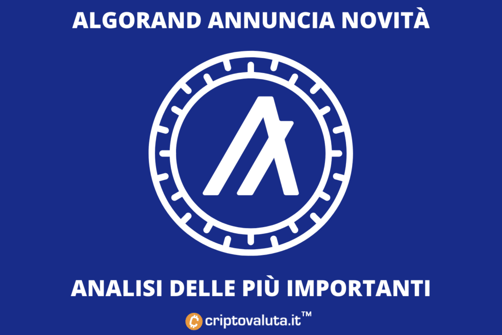 Análisis de Algorand: esto es lo interesante