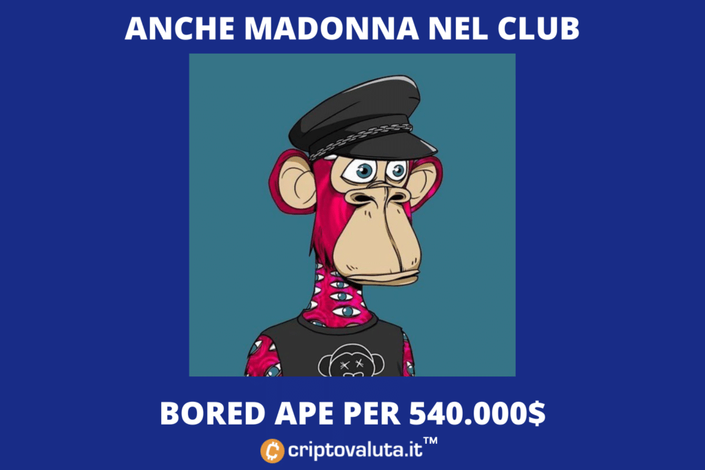 Madonna Bored Ape - compra de medio millón