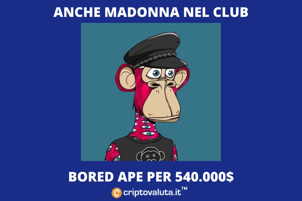 Madonna Bored Ape - acquisto da mezzo milione